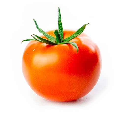 Tomate Daniela Gordo