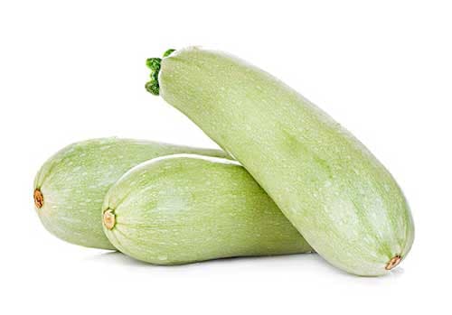 Calabacín Blanco